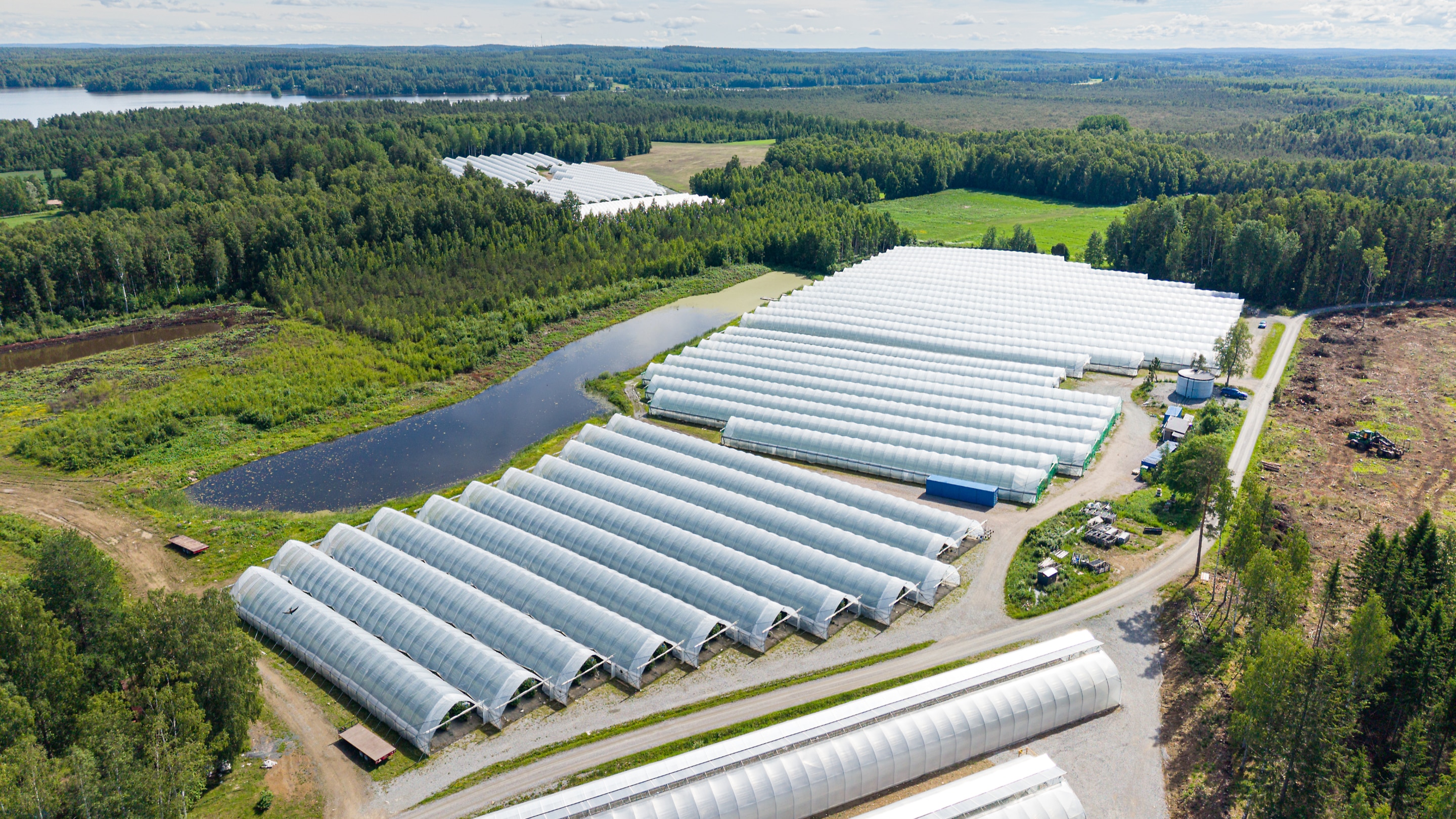 Kuva-164 Tyrvännön kasvutunneleita.